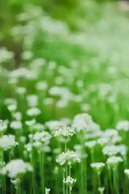 浄土寺(兵庫県)