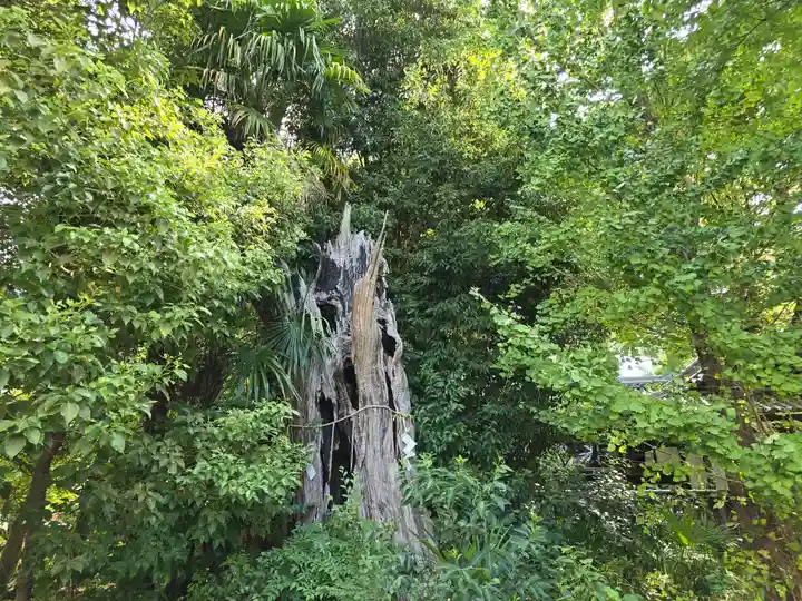 鴨高田神社(大阪府)