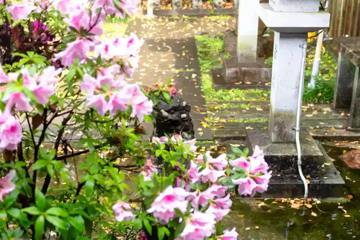 酒見神社(愛知県)