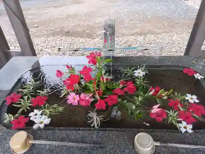 長沼八幡宮(栃木県)