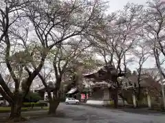 大山寺の自然