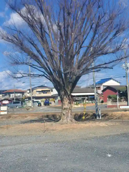 清龍院(栃木県)