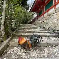 石上神宮(奈良県)