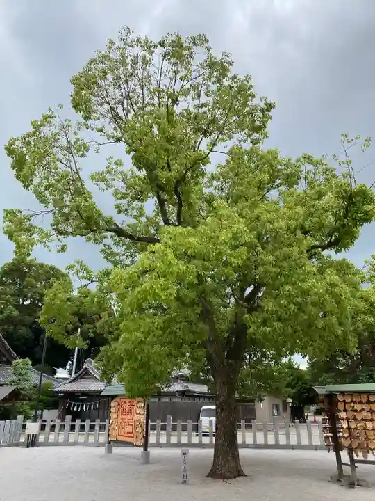 箭弓稲荷神社の自然