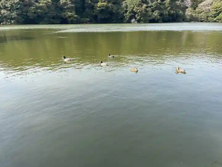 桜ヶ池池宮神社(静岡県)