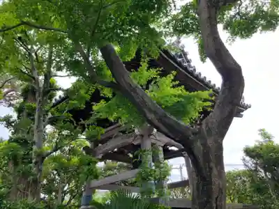 養玉院如来寺(東京都)
