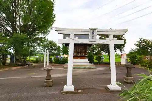 寅稲荷神社の鳥居