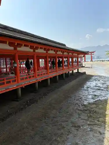 厳島神社(広島県)