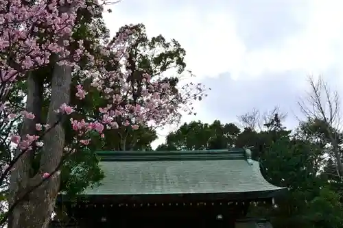 寒川神社の自然