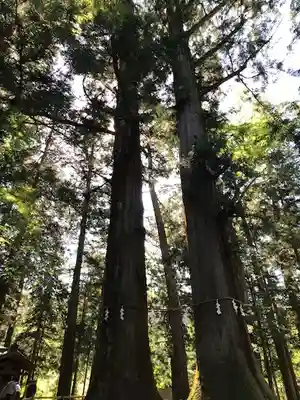 河口浅間神社(山梨県)
