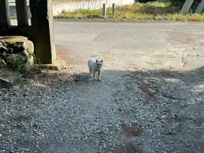 塩竈神社(栃木県)