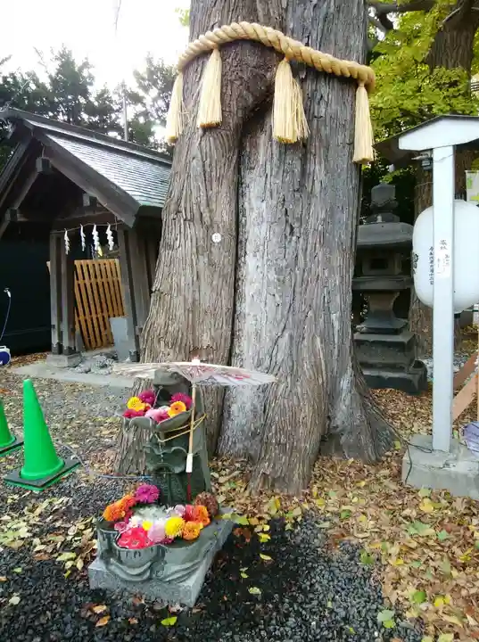 札幌諏訪神社の自然