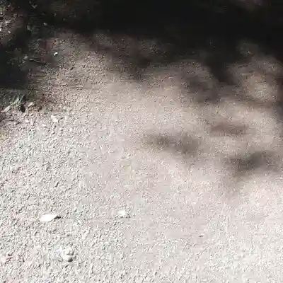 沼尾神社(茨城県)