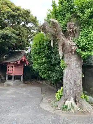 本興寺(神奈川県)
