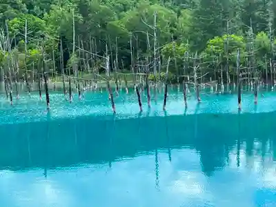 美瑛神社の周辺