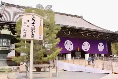 知恩院の本殿・本堂