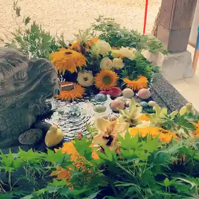 滑川神社 - 仕事と子どもの守り神の手水舎