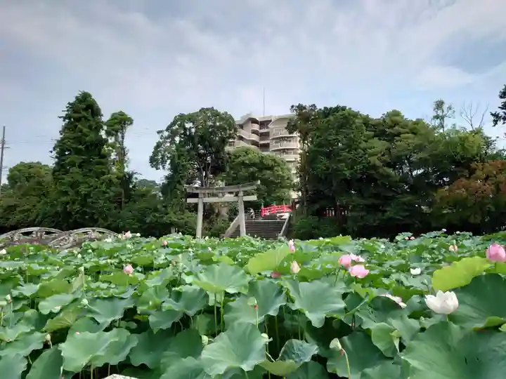 伊賀八幡宮(愛知県)