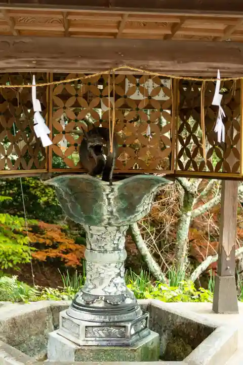宮地嶽神社(福岡県)
