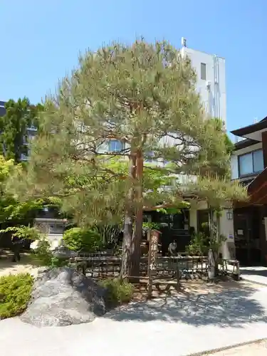 四柱神社の自然