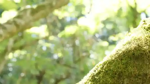詩仙堂（丈山寺）(京都府)