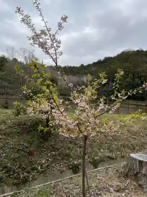 大師堂(兵庫県)