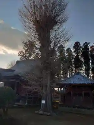 城興寺（延生地蔵尊）のその他建物