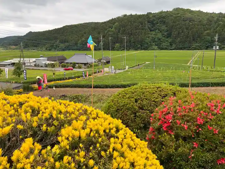 鹿島神社(茨城県)