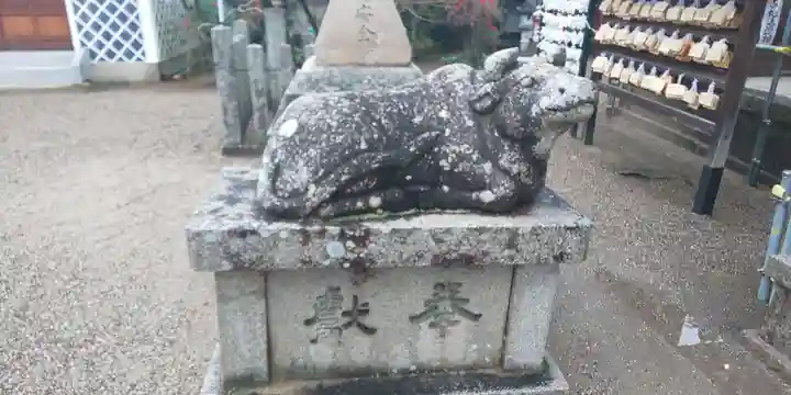 菅原天満宮(菅原神社)の狛犬
