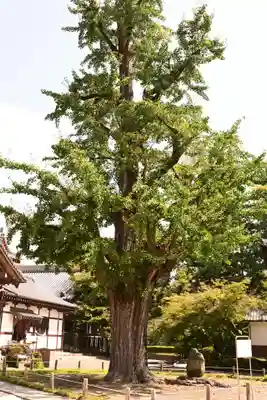 永保寺(岐阜県)