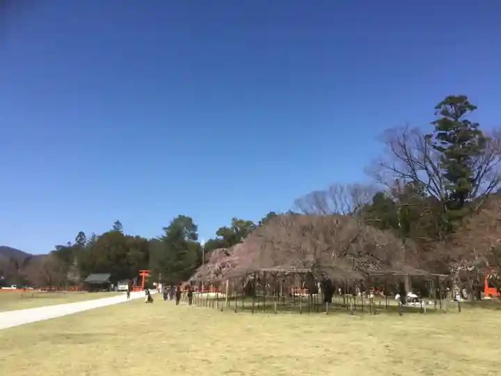 賀茂別雷神社(上賀茂神社)の自然