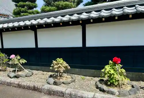 地持院(静岡県)