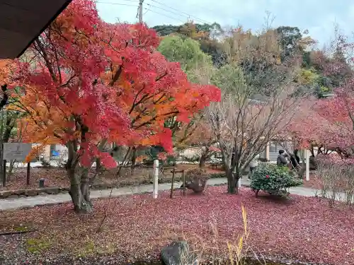 宇治上神社(京都府)
