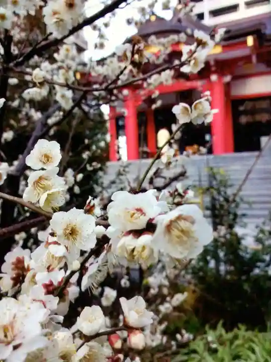 成子天神社(東京都)