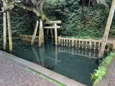 鹿島神宮(茨城県)