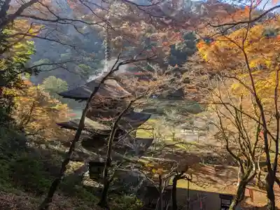 金剛院(京都府)