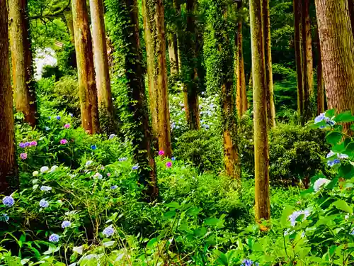 冨賀寺(愛知県)
