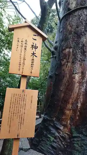 川越氷川神社の自然