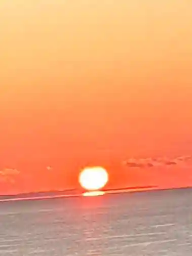 海津見神社(桂浜龍王宮)(高知県)