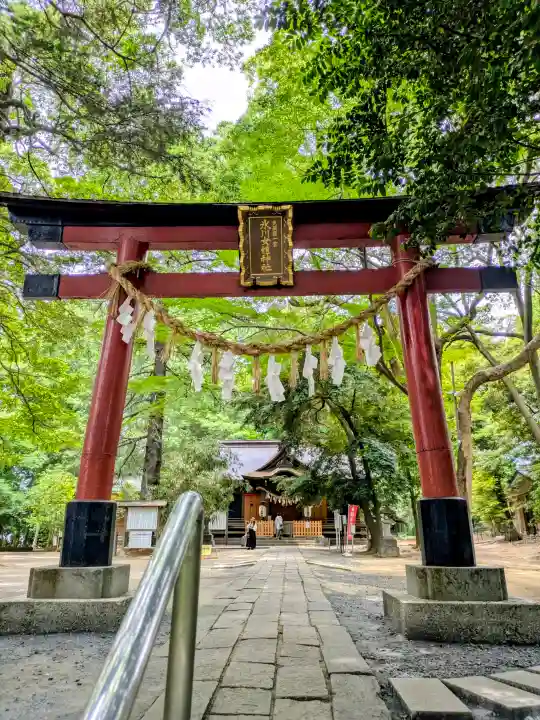 氷川女體神社(埼玉県)