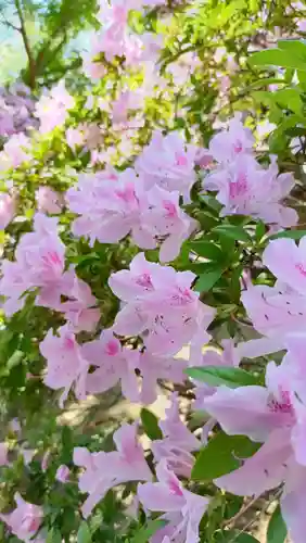 福性寺(茨城県)