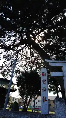 須賀神社の自然