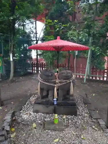 浅草神社の狛犬