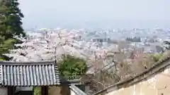 白毫寺の景色