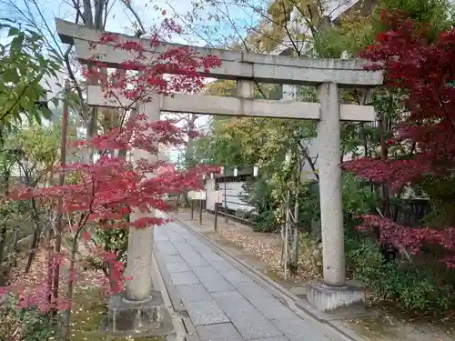 溝口神社の鳥居