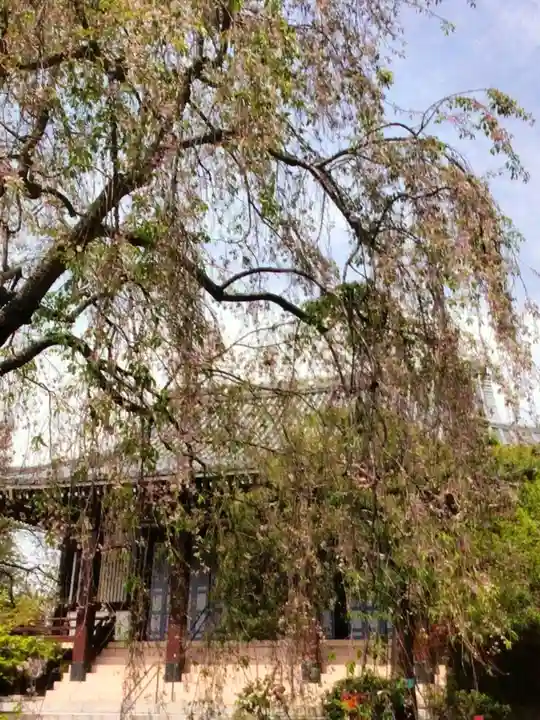圓照寺(東京都)