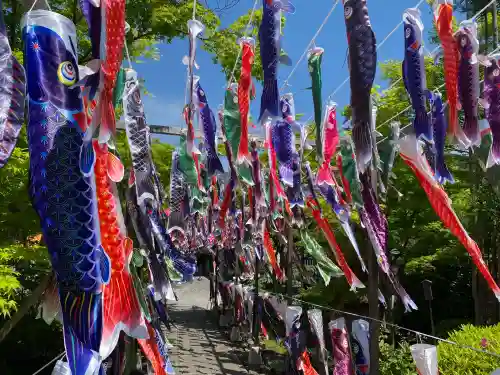 宝徳寺の{uncategorized: "未分類", other: "その他", undefined: "問題あり", building: "その他建物", grave: "お墓", sacred_gate: "鳥居", guardian: "狛犬", statue: "像", buddha: "仏像", history: "歴史", nature: "自然", garden: "庭園", animal: "動物", pagoda: "塔", temizu: "手水舎", mountain_gate: "山門・神門", sanctuary: "本殿・本堂", subordinate: "末社・摂社", art: "芸術", scenery: "景色", jizo: "地蔵", ema: "絵馬", goshuin: "御朱印", omikuji: "おみくじ", items: "授与品その他", amulet: "お守り", goshuincho: "御朱印帳", eats: "食事", festival: "お祭り", votive_dance: "神楽", shichigosan: "七五三参", wedding: "結婚式", experience: "体験その他", initially: "初詣", around: "周辺", anti_infection: "感染症対策"}