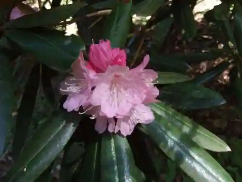荒穂神社(福岡県)