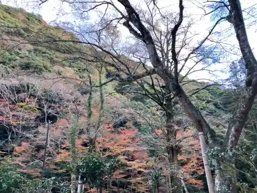 鰐淵寺(島根県)