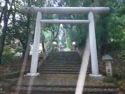 天岩戸神社の鳥居